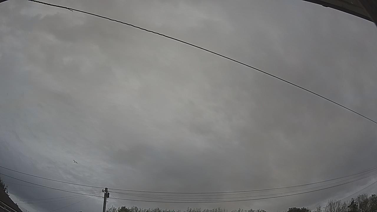20260903_171446_cam2.jpg