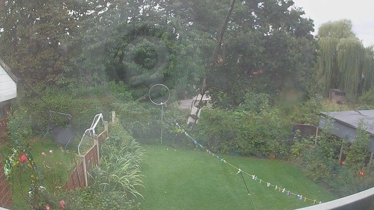 20260903_174640_cam1.jpg