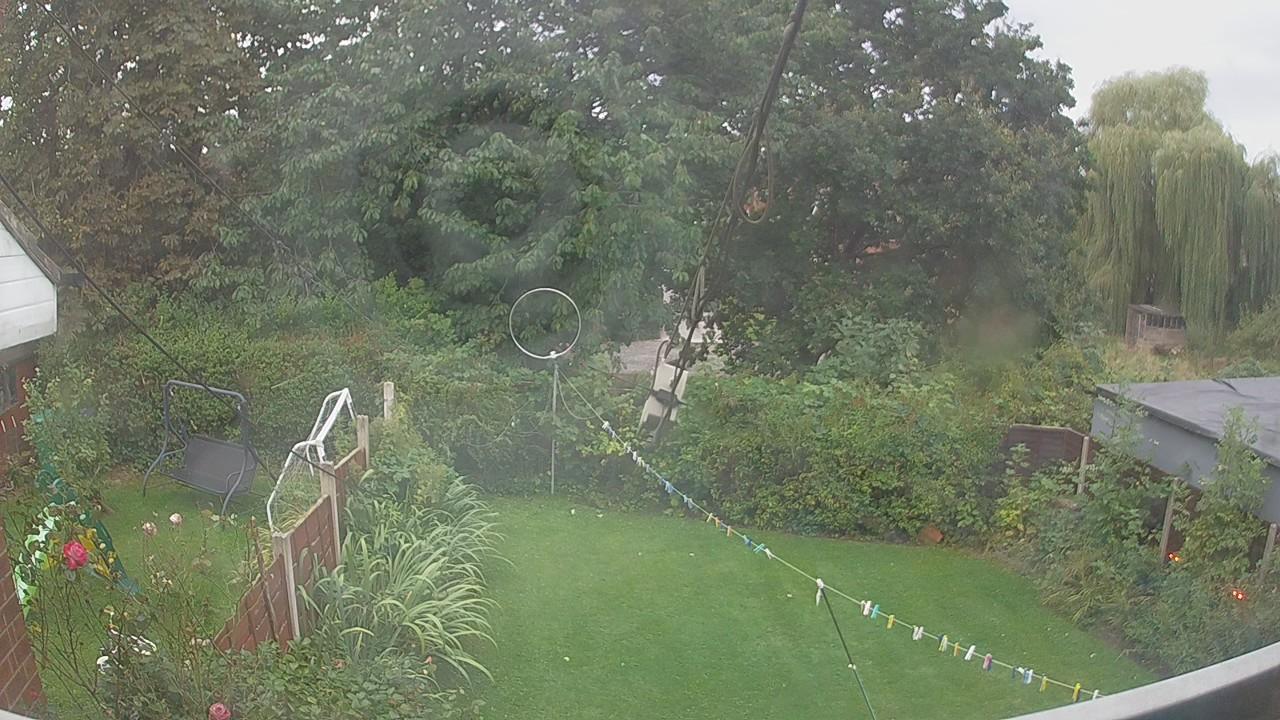 20260903_175014_cam1.jpg