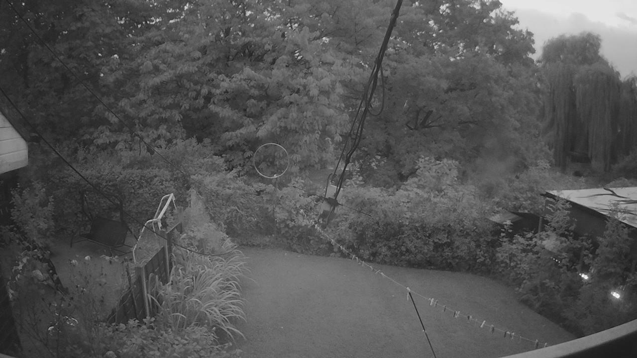20260903_191442_cam1.jpg