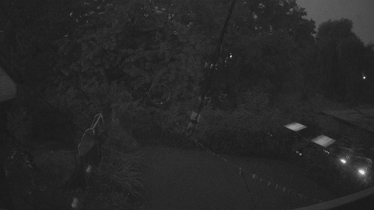20260904_045110_cam1.jpg