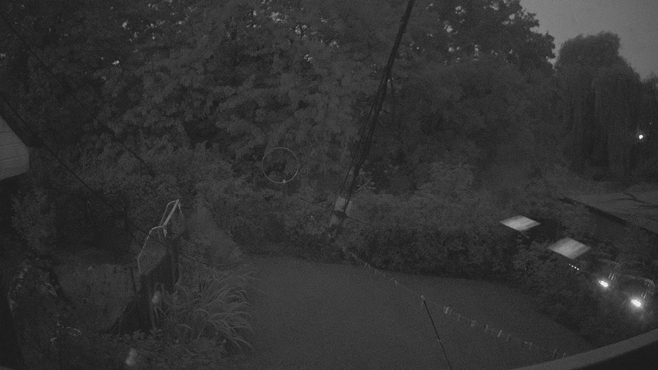 20260904_045900_cam1.jpg