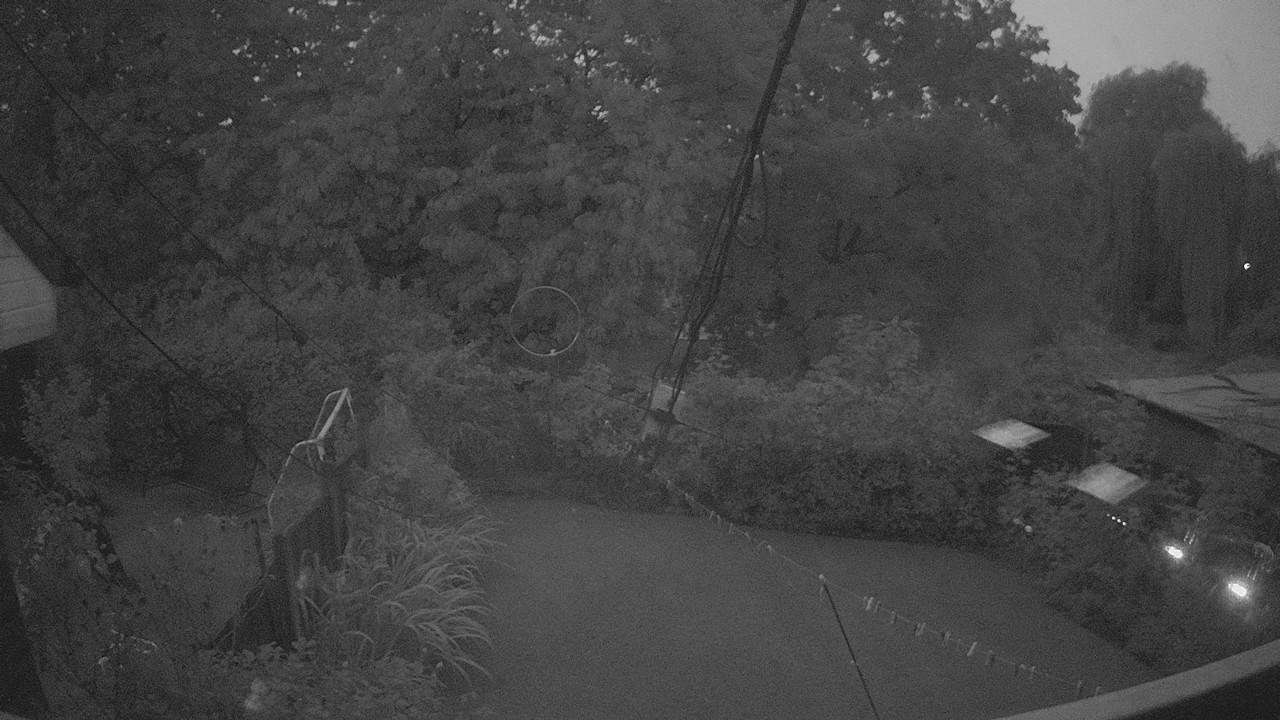 20260904_050250_cam1.jpg