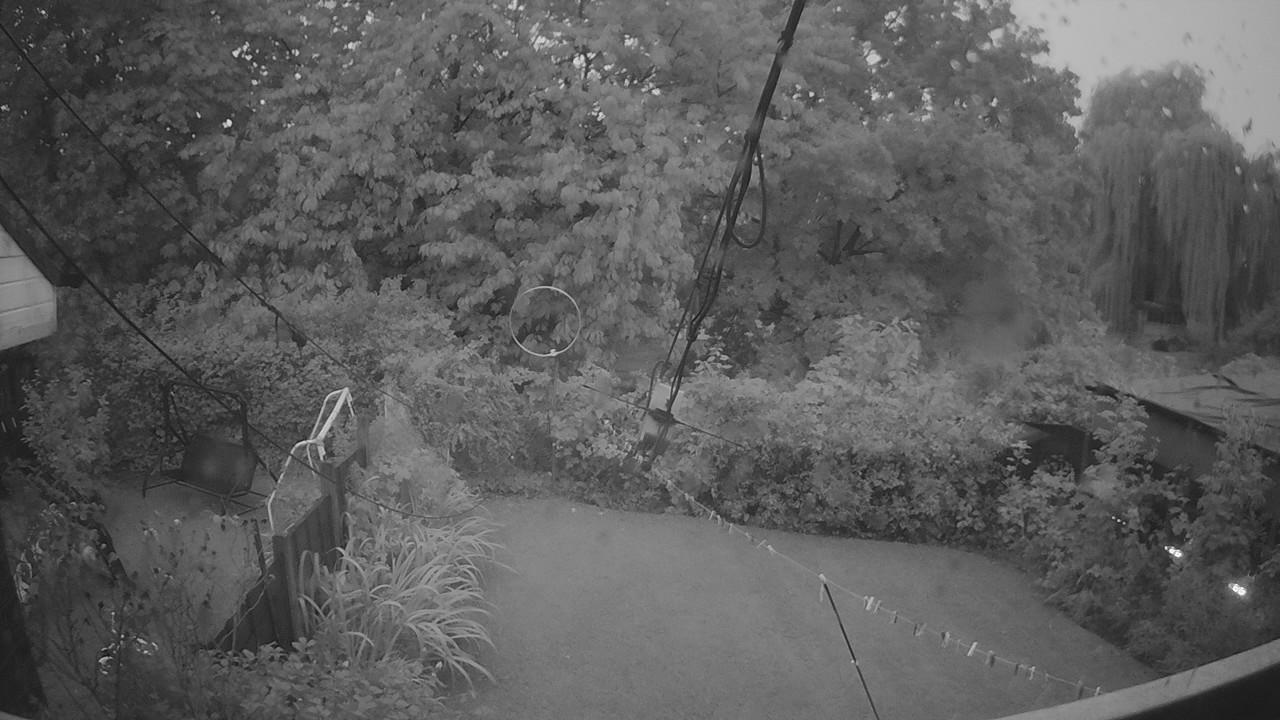 20260904_052555_cam1.jpg