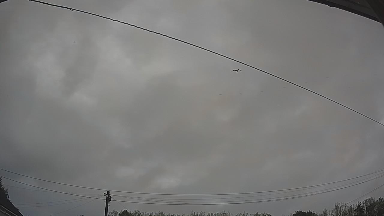 20260904_062245_cam2.jpg