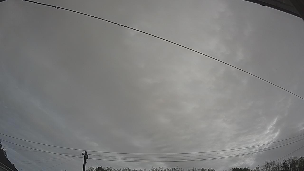 20260904_080039_cam2.jpg