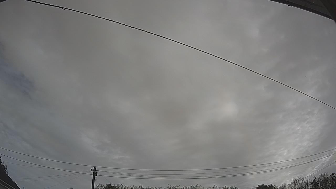 20260904_080412_cam2.jpg