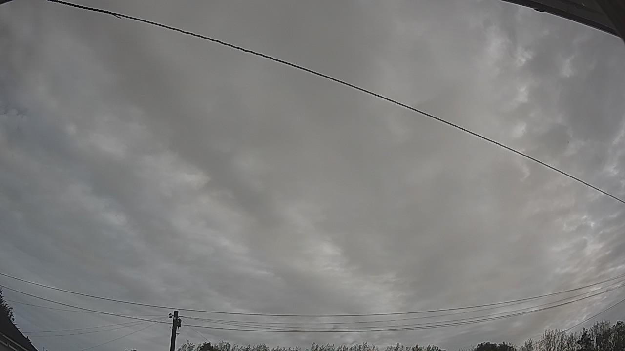 20260904_080744_cam2.jpg