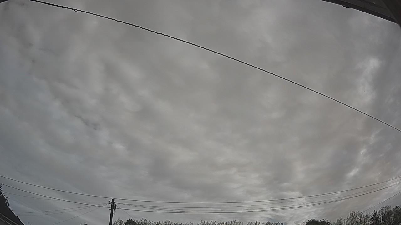 20260904_081118_cam2.jpg
