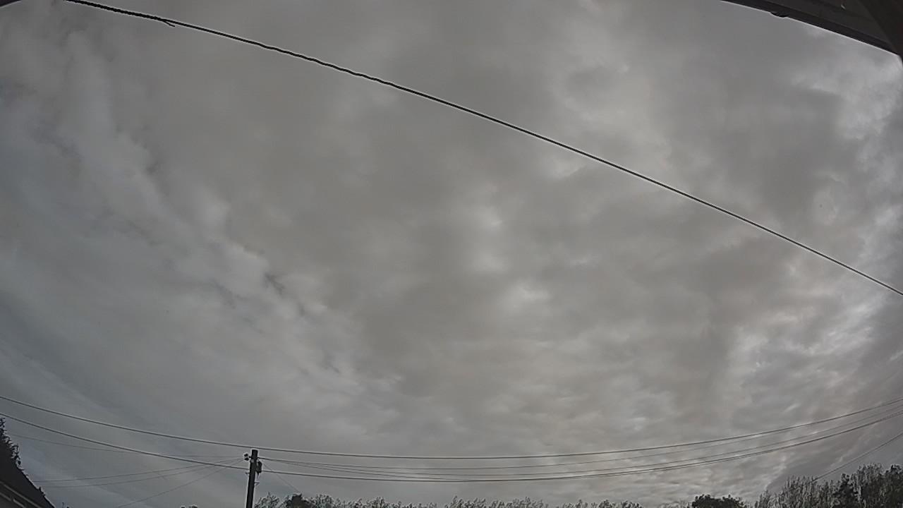 20260904_081451_cam2.jpg