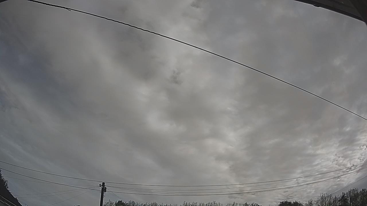 20260904_081825_cam2.jpg
