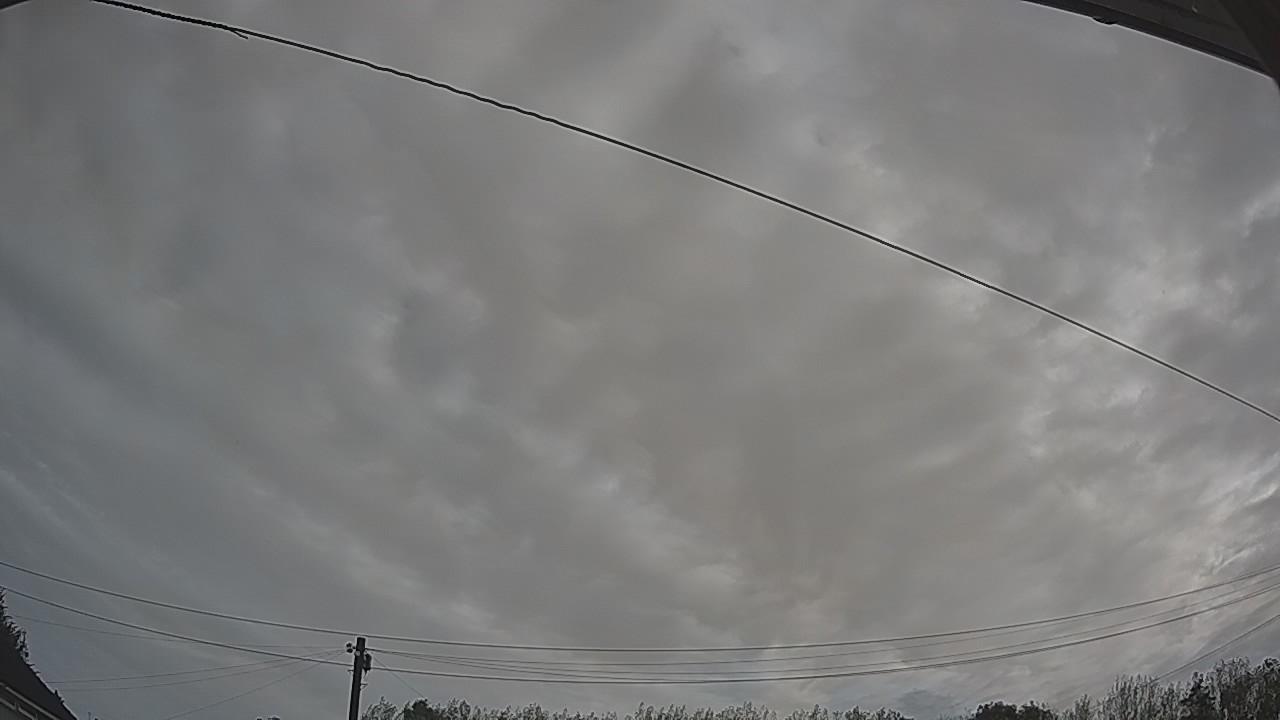 20260904_082914_cam2.jpg