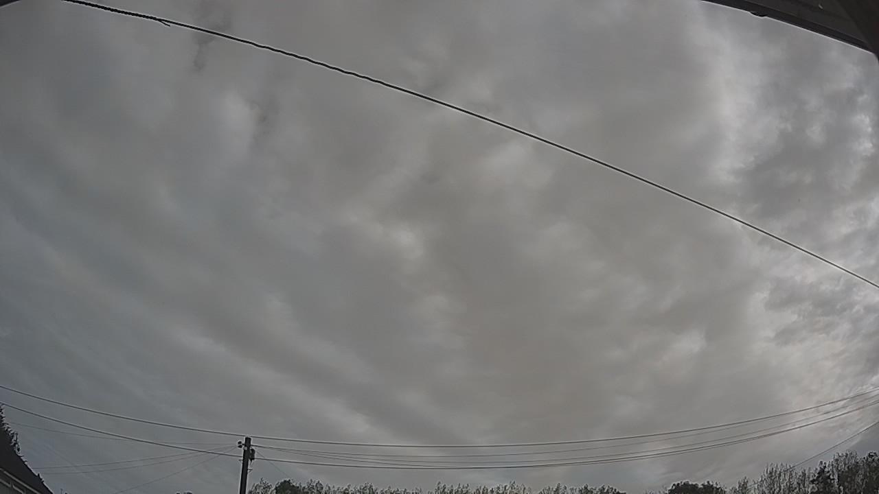 20260904_083257_cam2.jpg