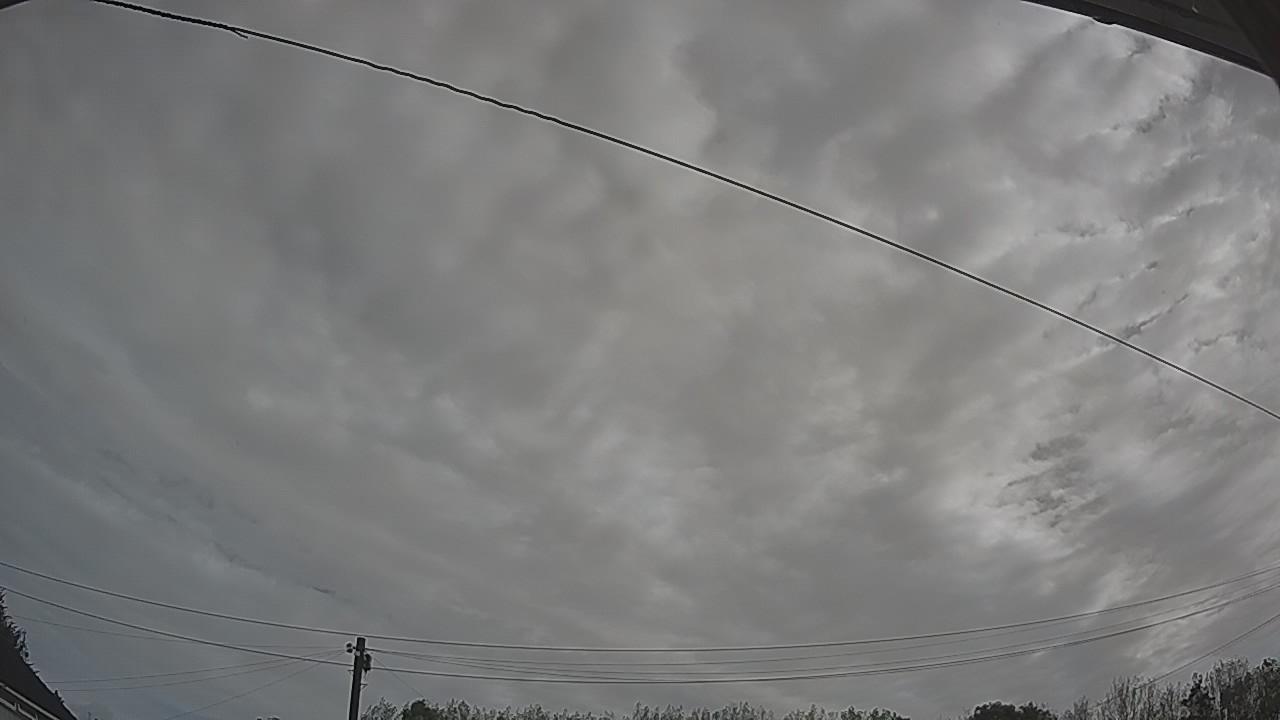 20260904_084404_cam2.jpg