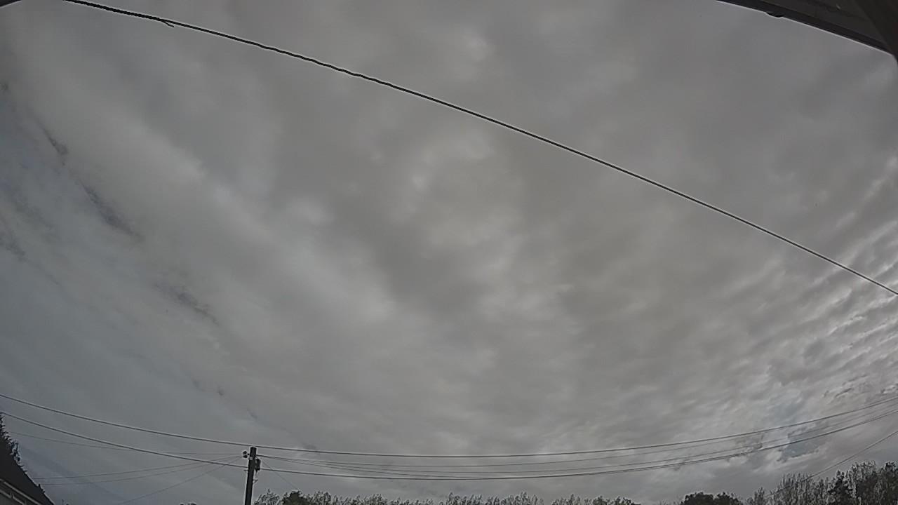 20260904_084746_cam2.jpg