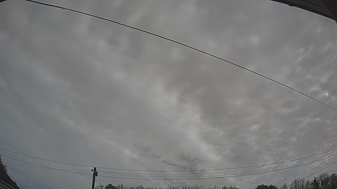 20260904_085128_cam2.jpg