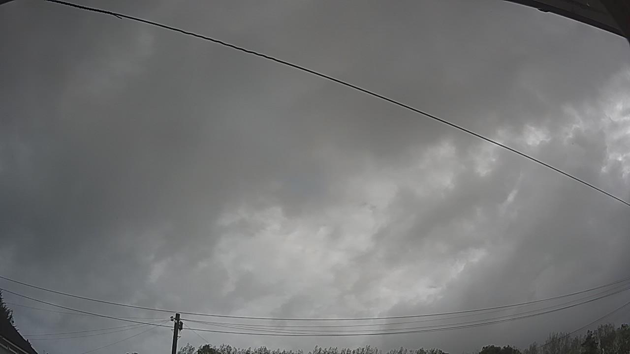 20260904_090142_cam2.jpg