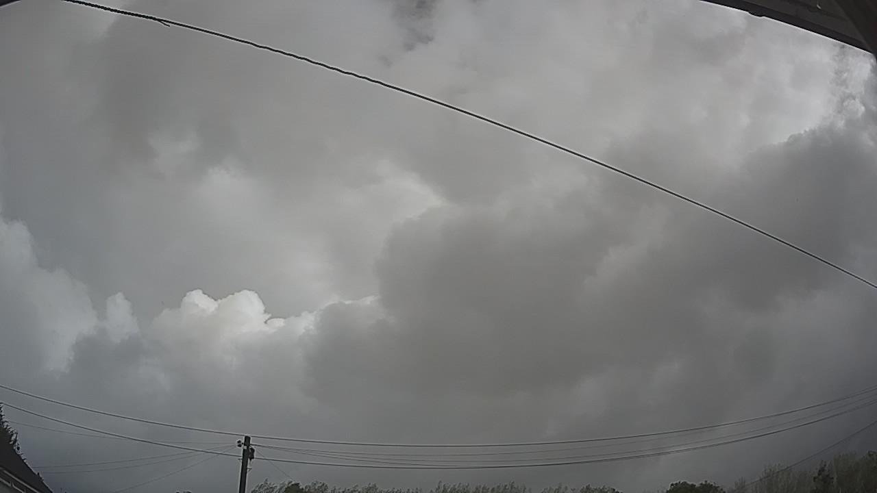 20260904_090811_cam2.jpg