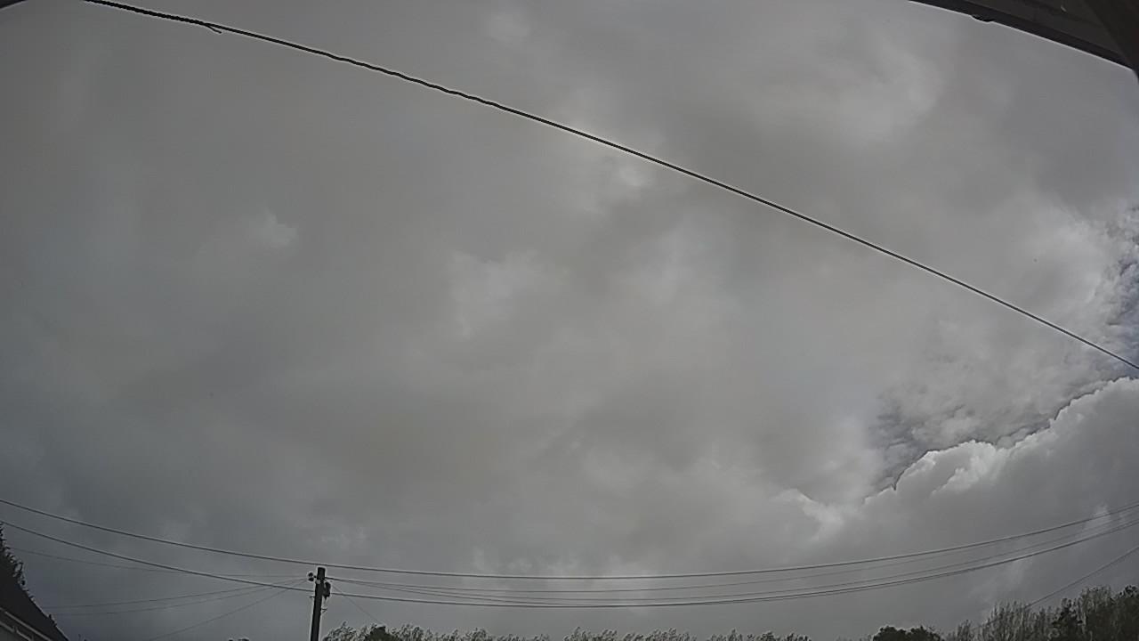 20260904_091125_cam2.jpg