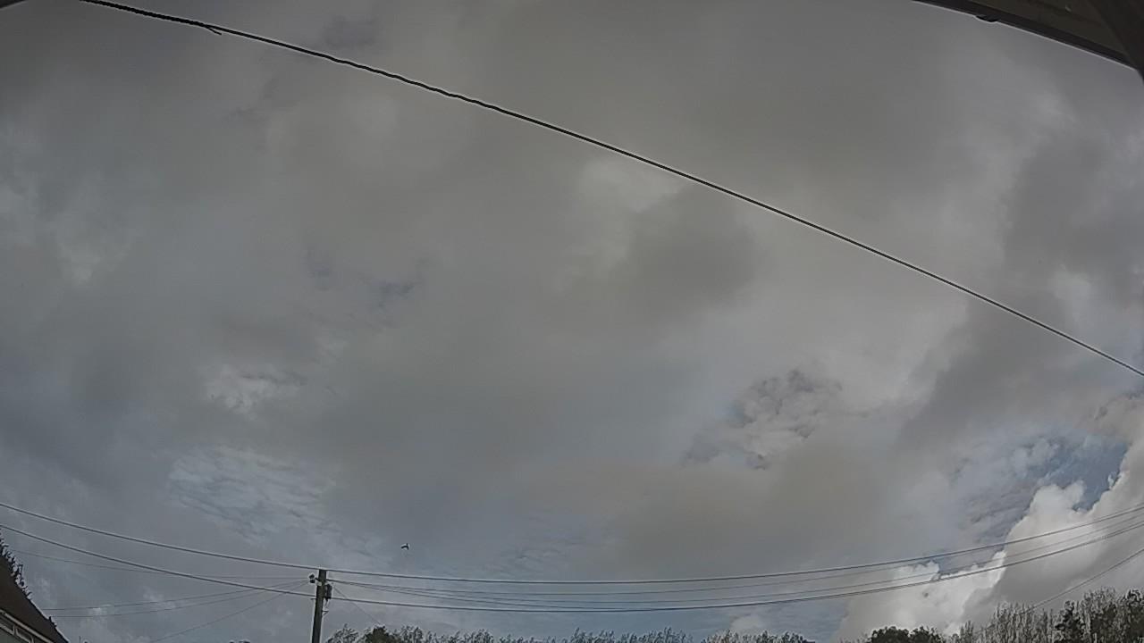 20260904_102911_cam2.jpg