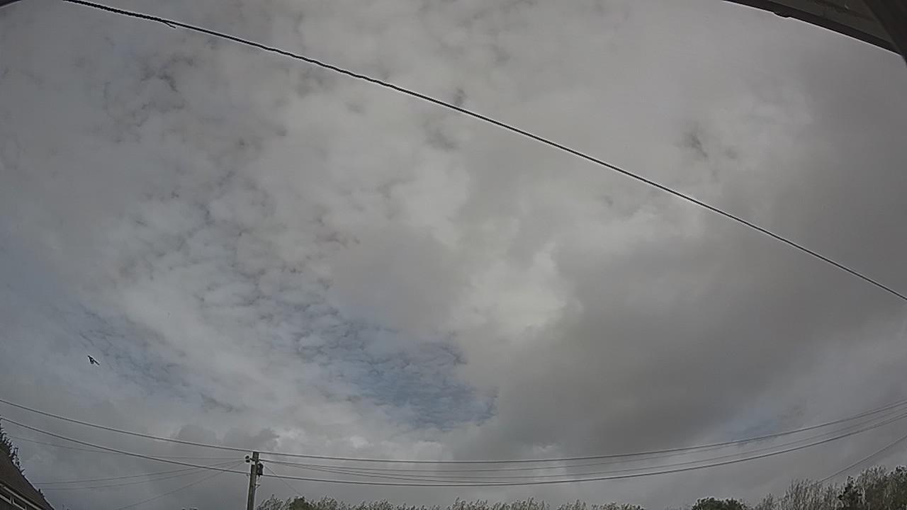 20260904_111205_cam2.jpg