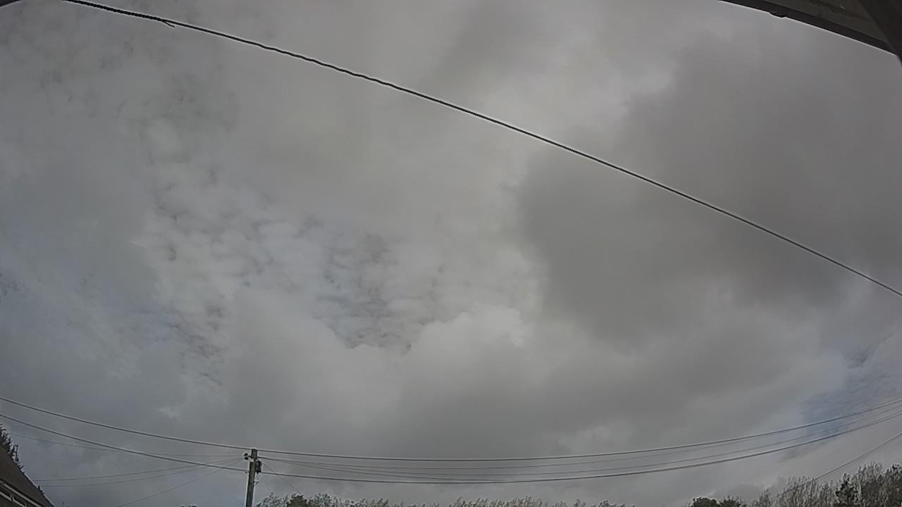 20260904_111841_cam2.jpg