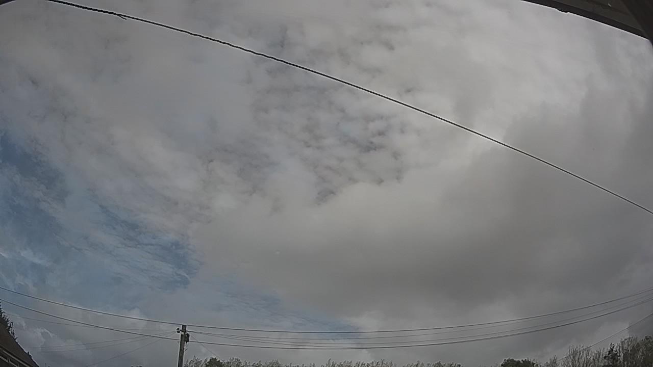 20260904_113000_cam2.jpg