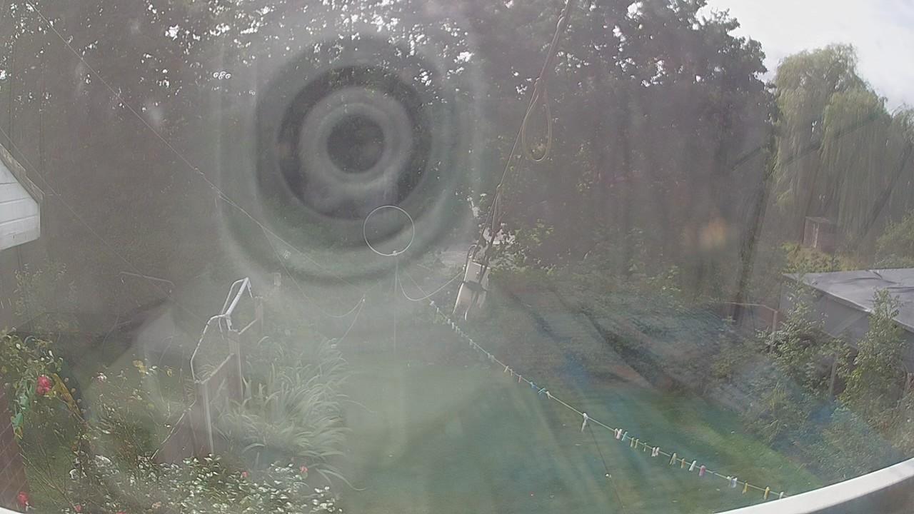 20260904_132858_cam1.jpg