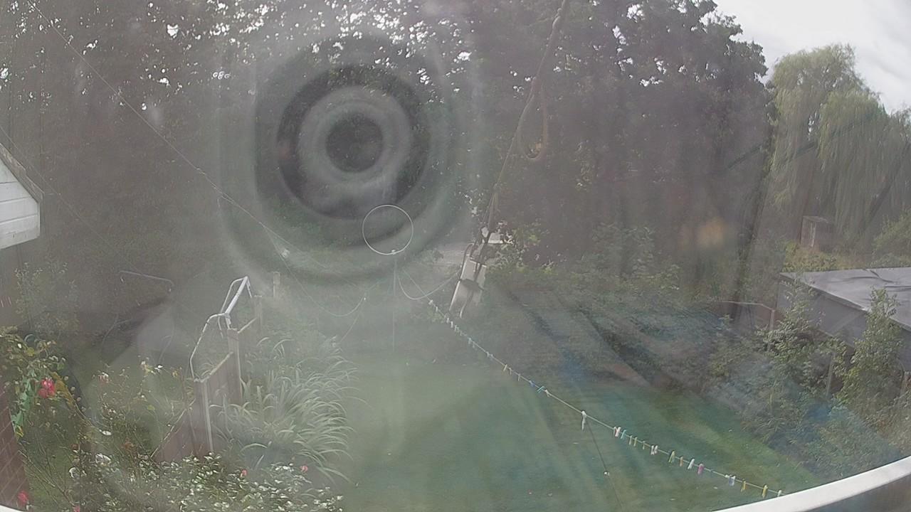 20260904_133101_cam1.jpg