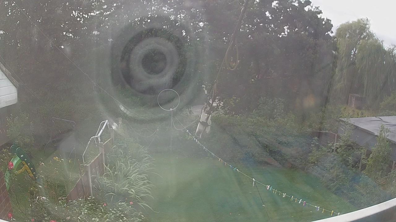 20260904_133710_cam1.jpg