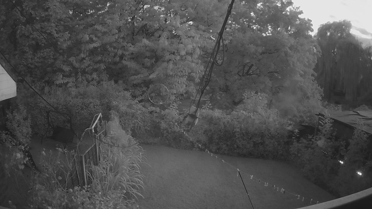 20260904_192042_cam1.jpg