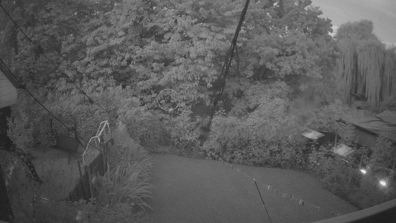 20260905_045146_cam1.jpg