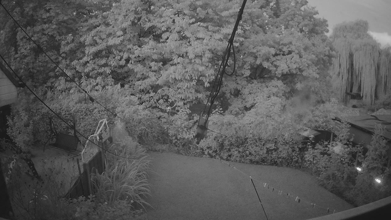 20260905_045537_cam1.jpg
