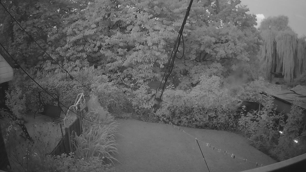 20260905_050302_cam1.jpg