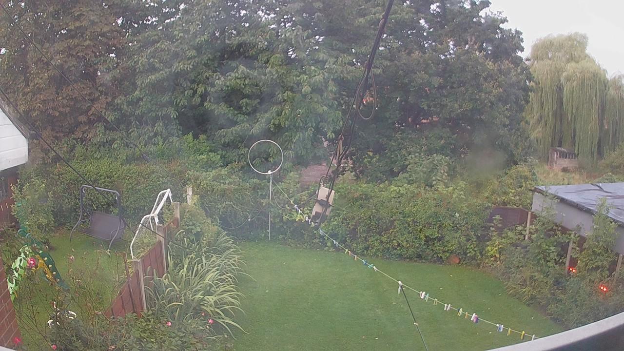 20260905_053408_cam1.jpg