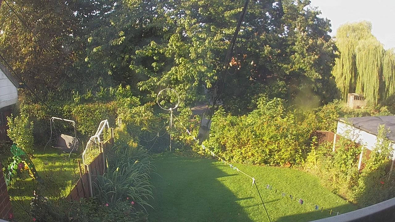 20260905_073748_cam1.jpg