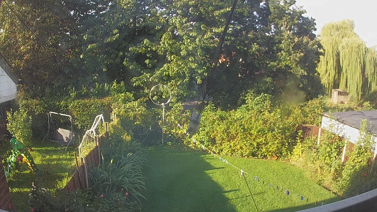 20260905_074130_cam1.jpg