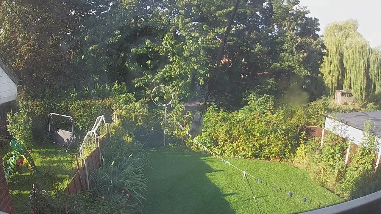 20260905_074512_cam1.jpg