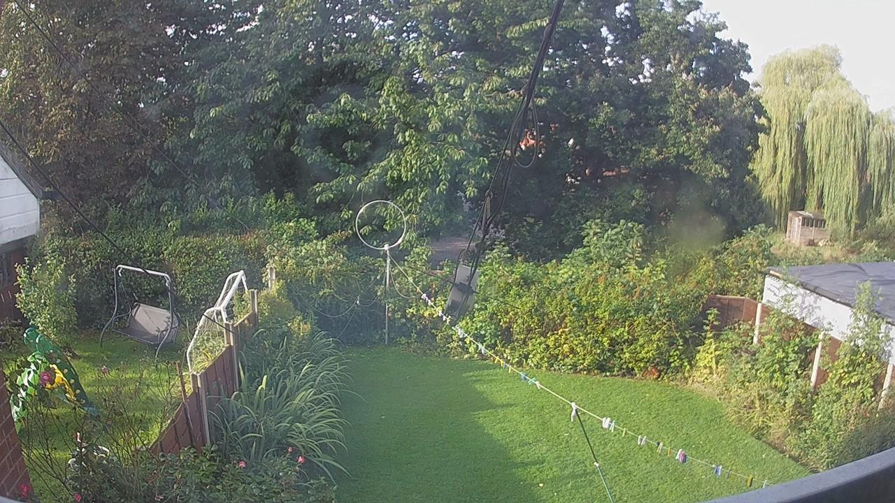 20260905_075237_cam1.jpg