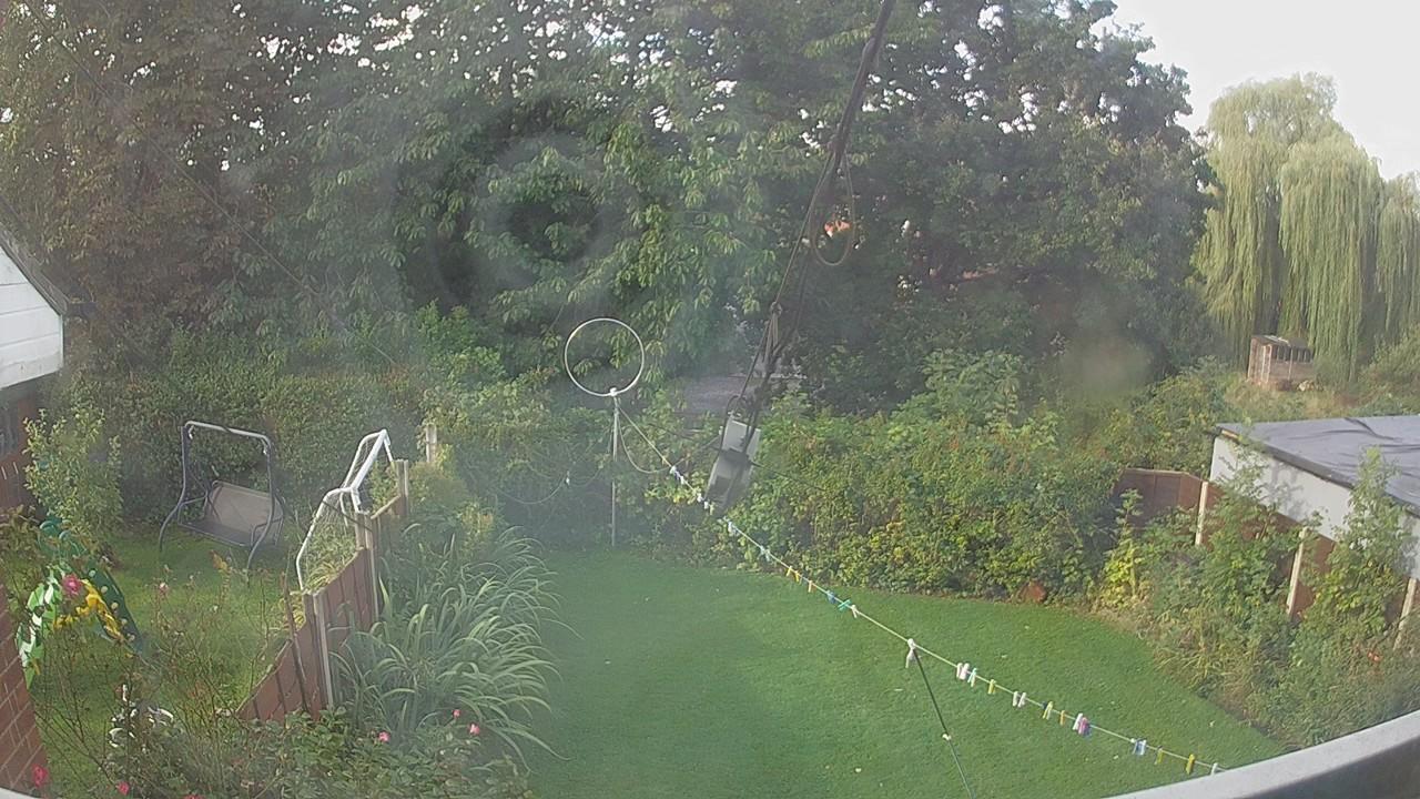 20260905_080001_cam1.jpg