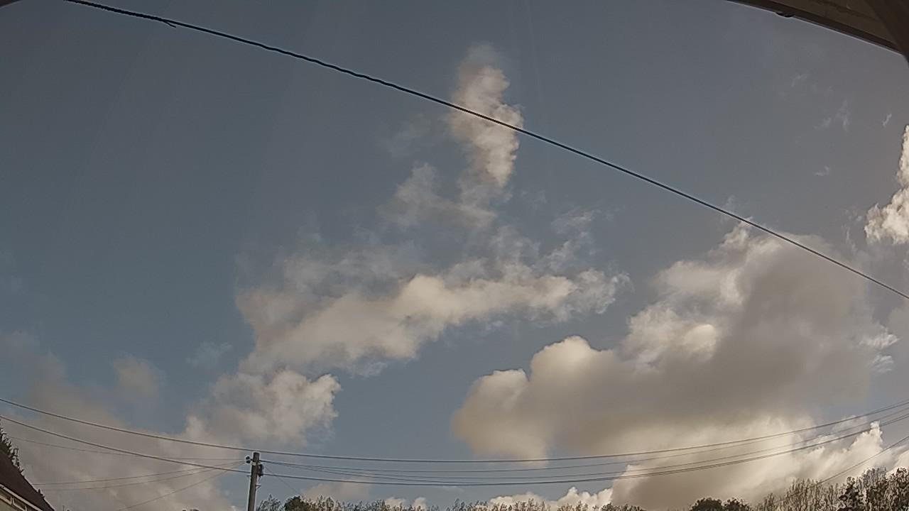20260905_080002_cam2.jpg