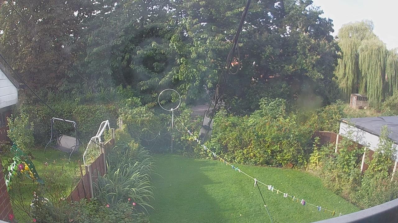 20260905_080343_cam1.jpg