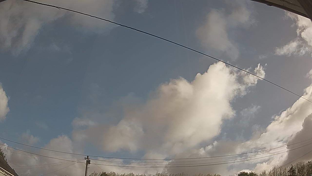 20260905_080344_cam2.jpg