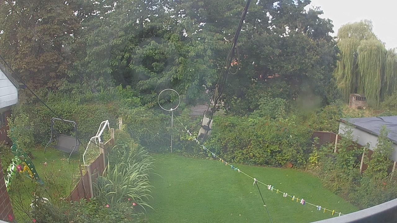 20260905_080725_cam1.jpg