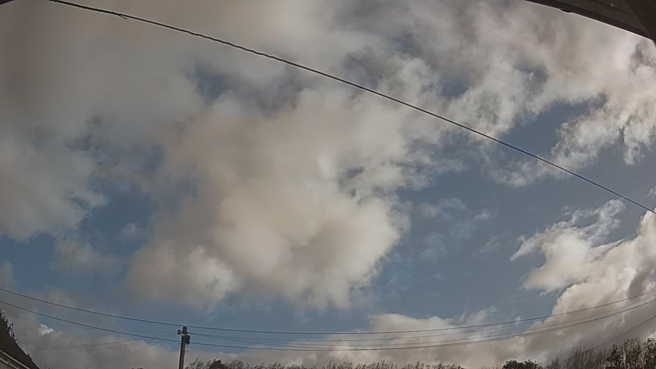 20260905_080726_cam2.jpg
