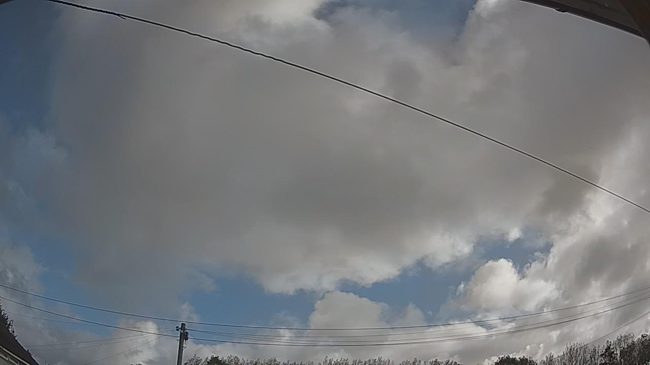 20260905_081108_cam2.jpg