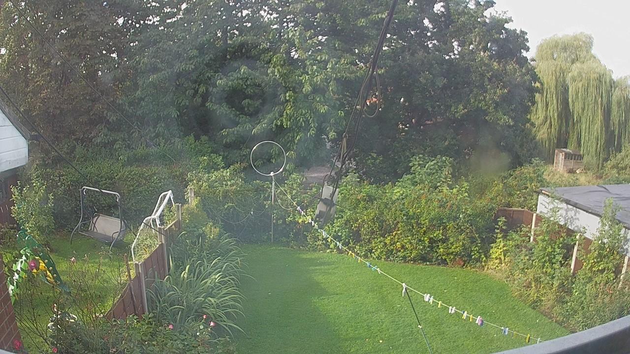 20260905_081448_cam1.jpg