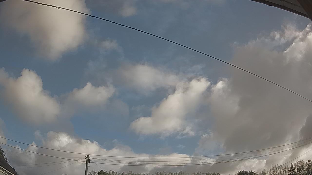 20260905_081449_cam2.jpg