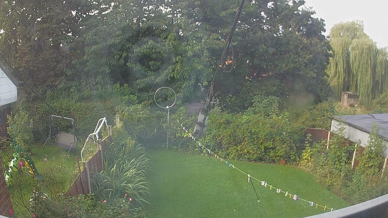 20260905_081830_cam1.jpg