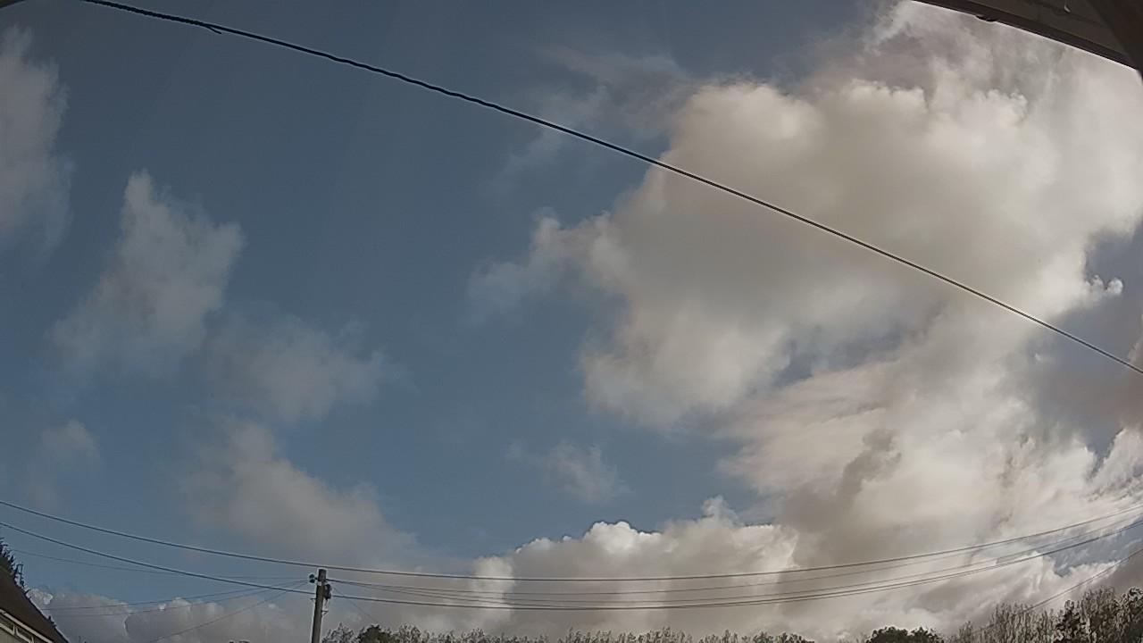 20260905_081831_cam2.jpg